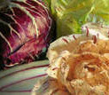 radicchio verona e castelfranco